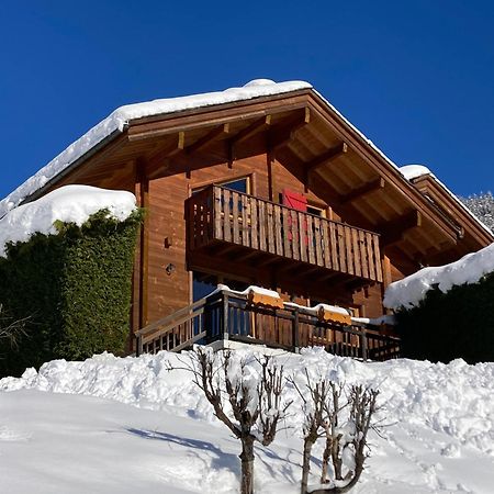 Chalets Du Danay Lachat Сен-Жан-де-Сикст Экстерьер фото